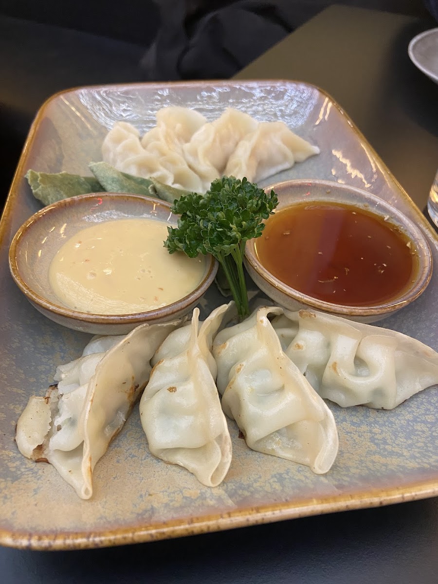 Shabu Alassio Photo 10