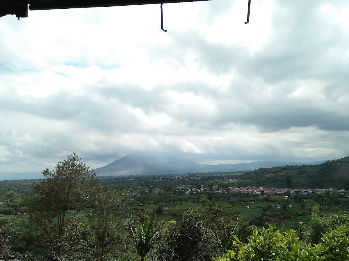 Sentudu Net Photo 2