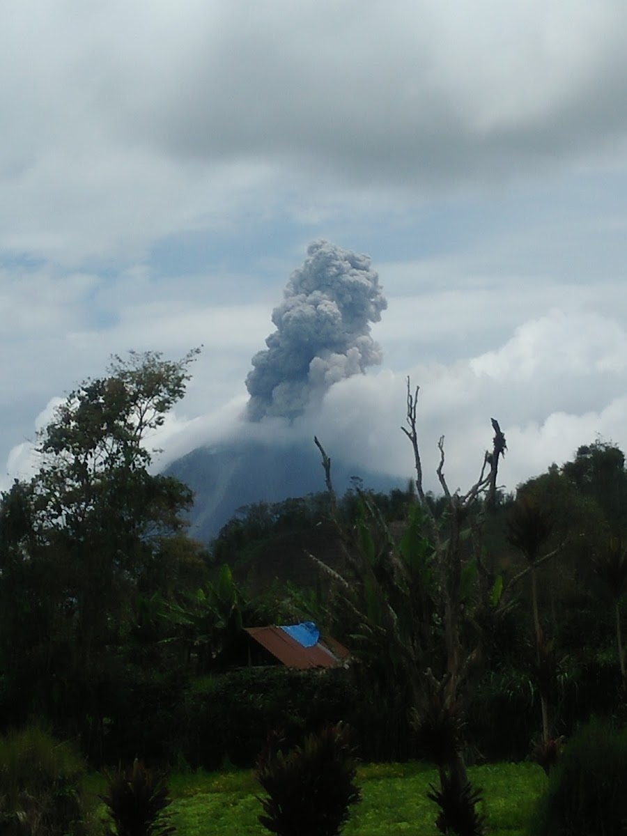 Sentudu Net Photo 4