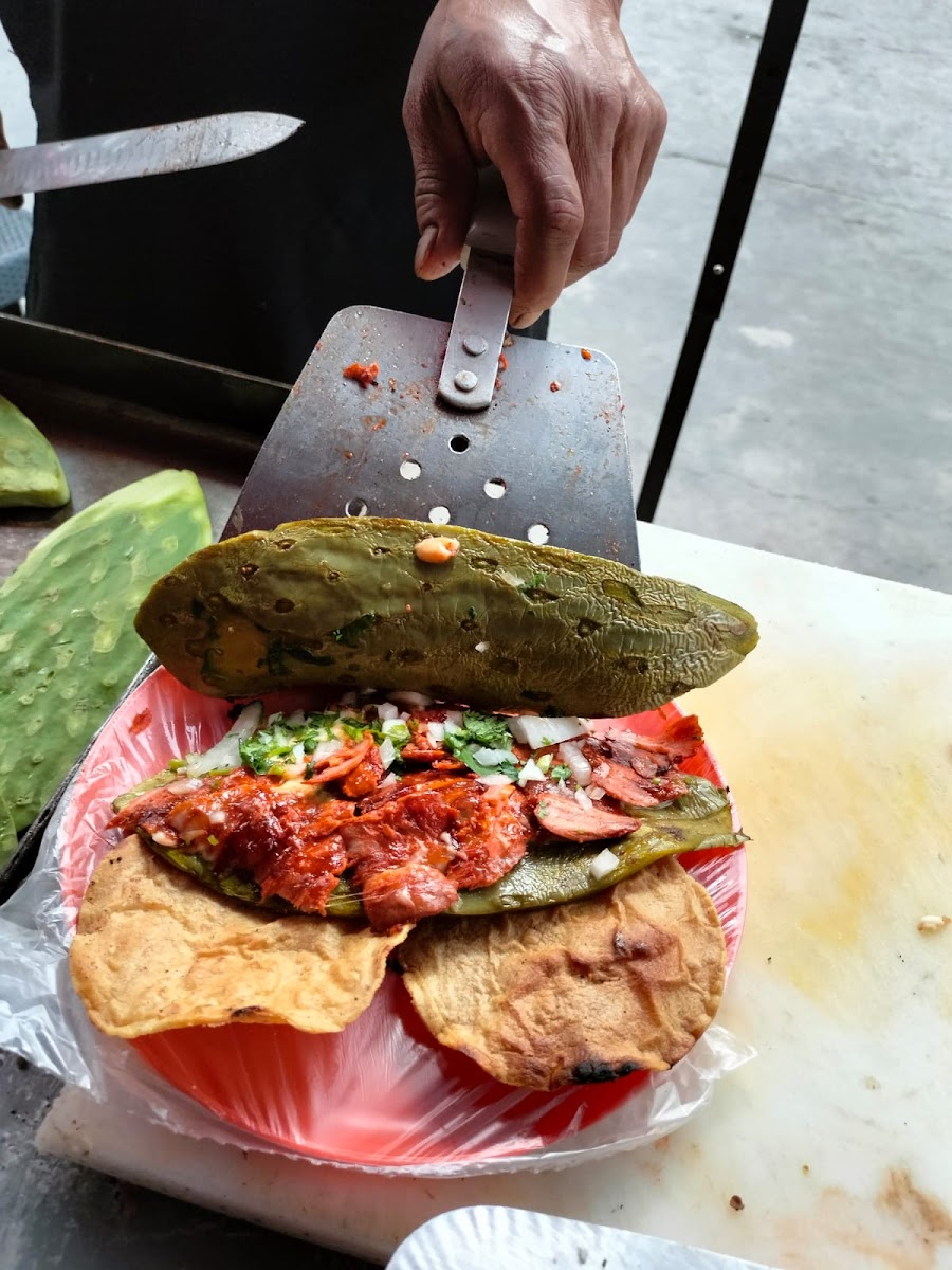 Taco Drilo Photo 10