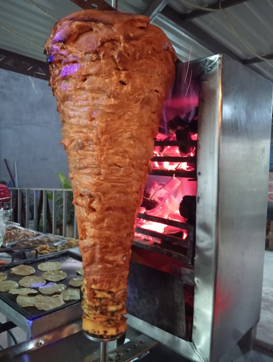 Taco Drilo Photo 4