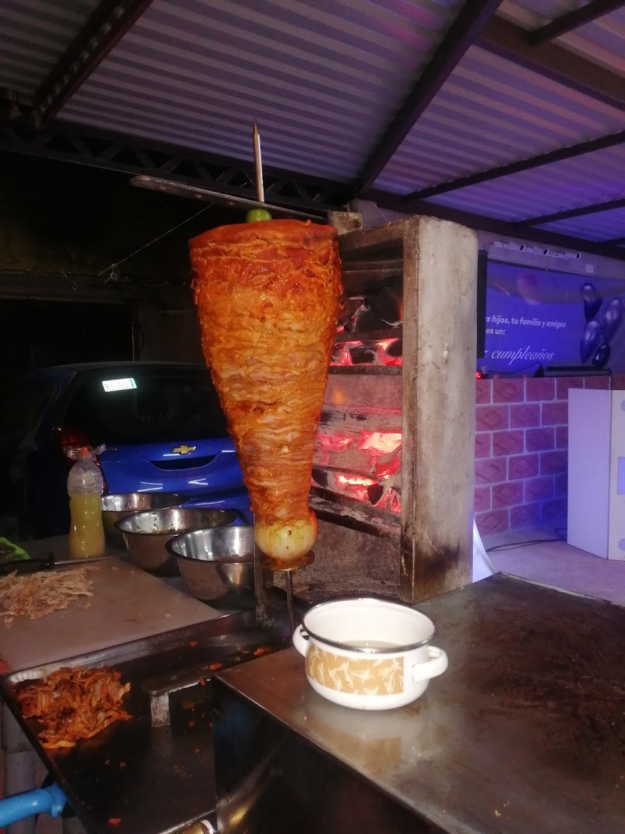 Taco Drilo Photo 5