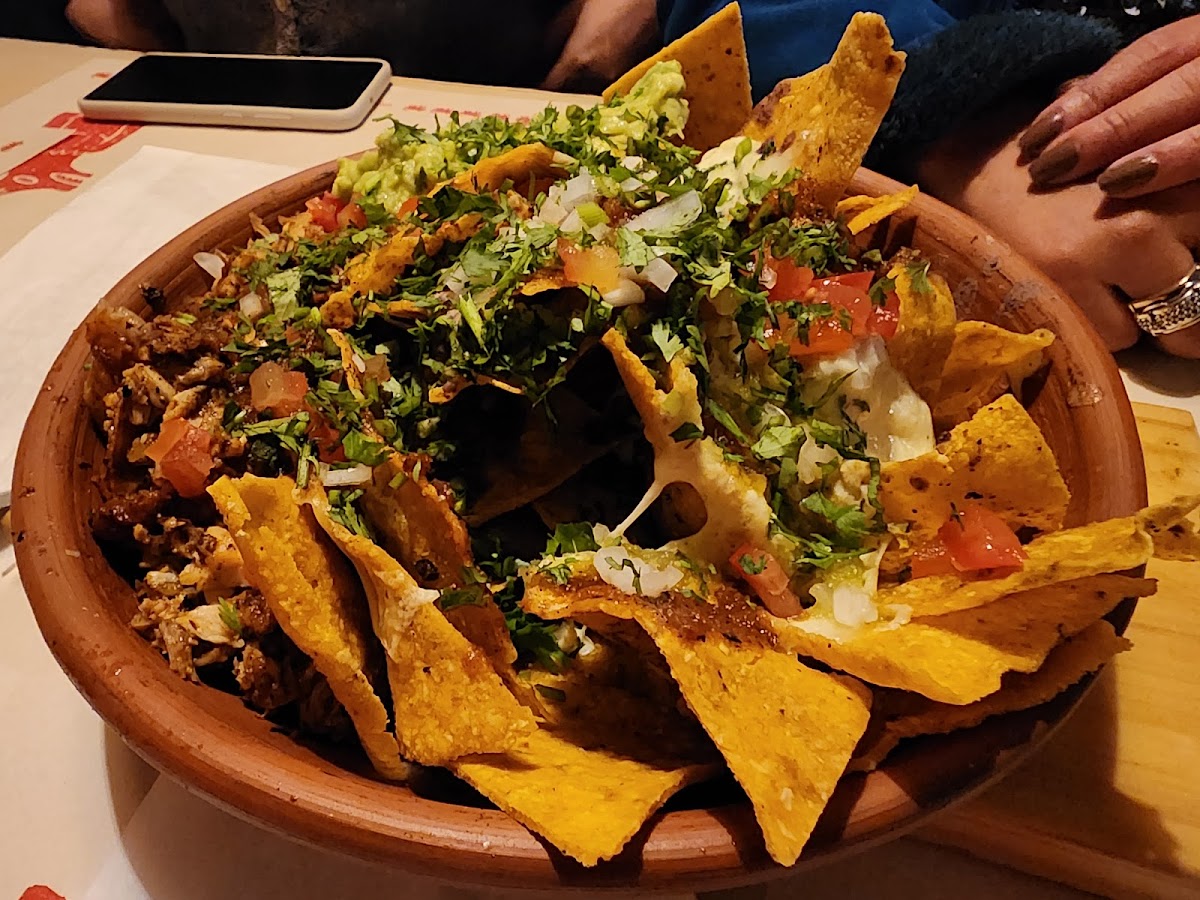 Lobo Cantina Mex Photo 6