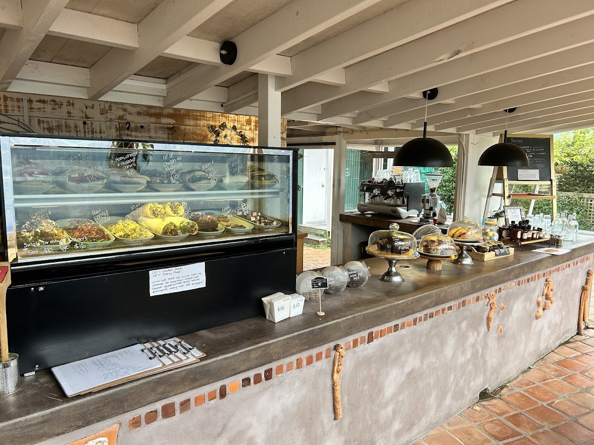 Cafe Nectar at Katya Maker