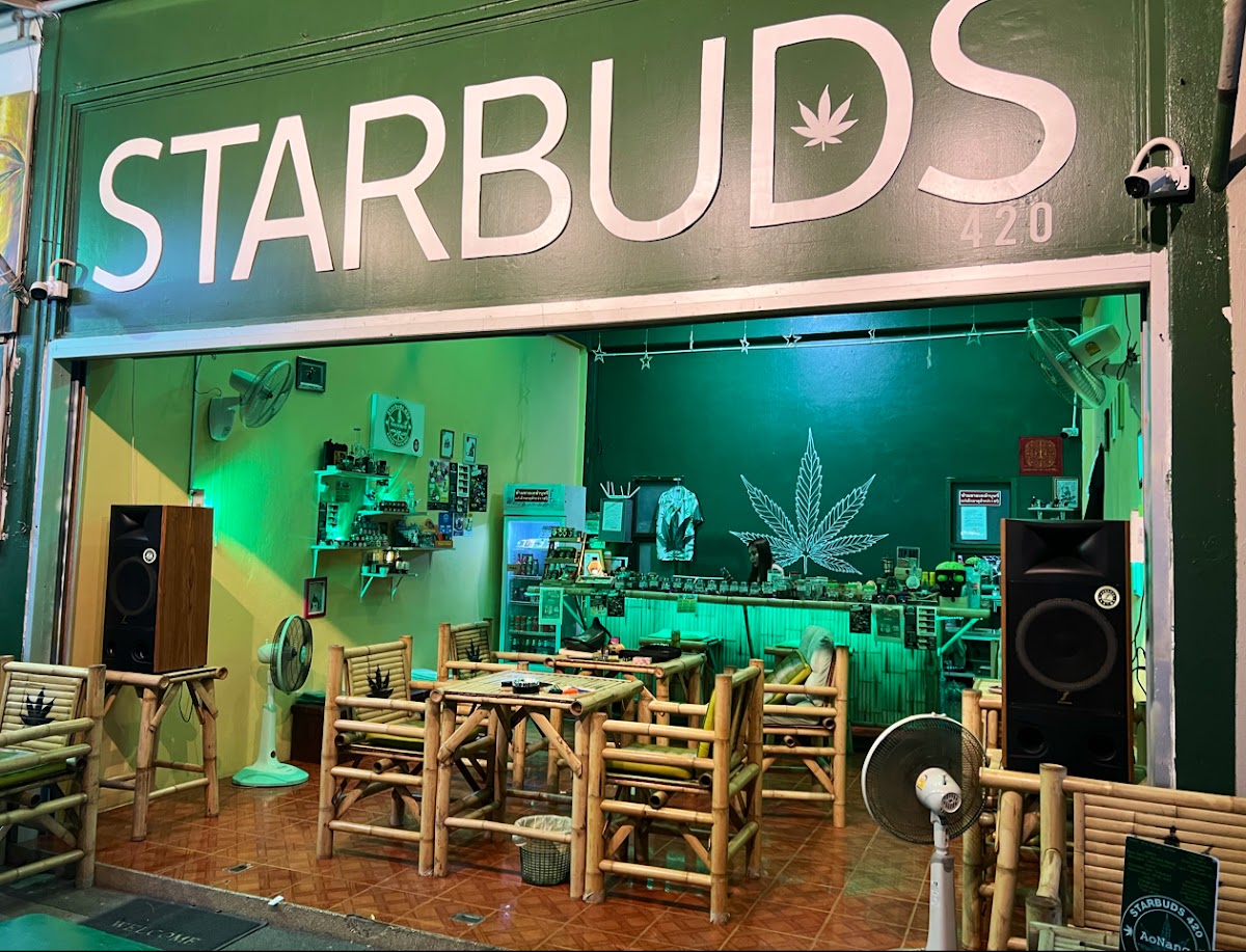 STARBUDS 420