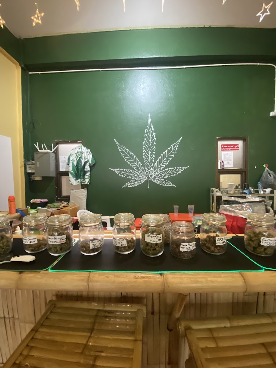 STARBUDS 420 Photo 10