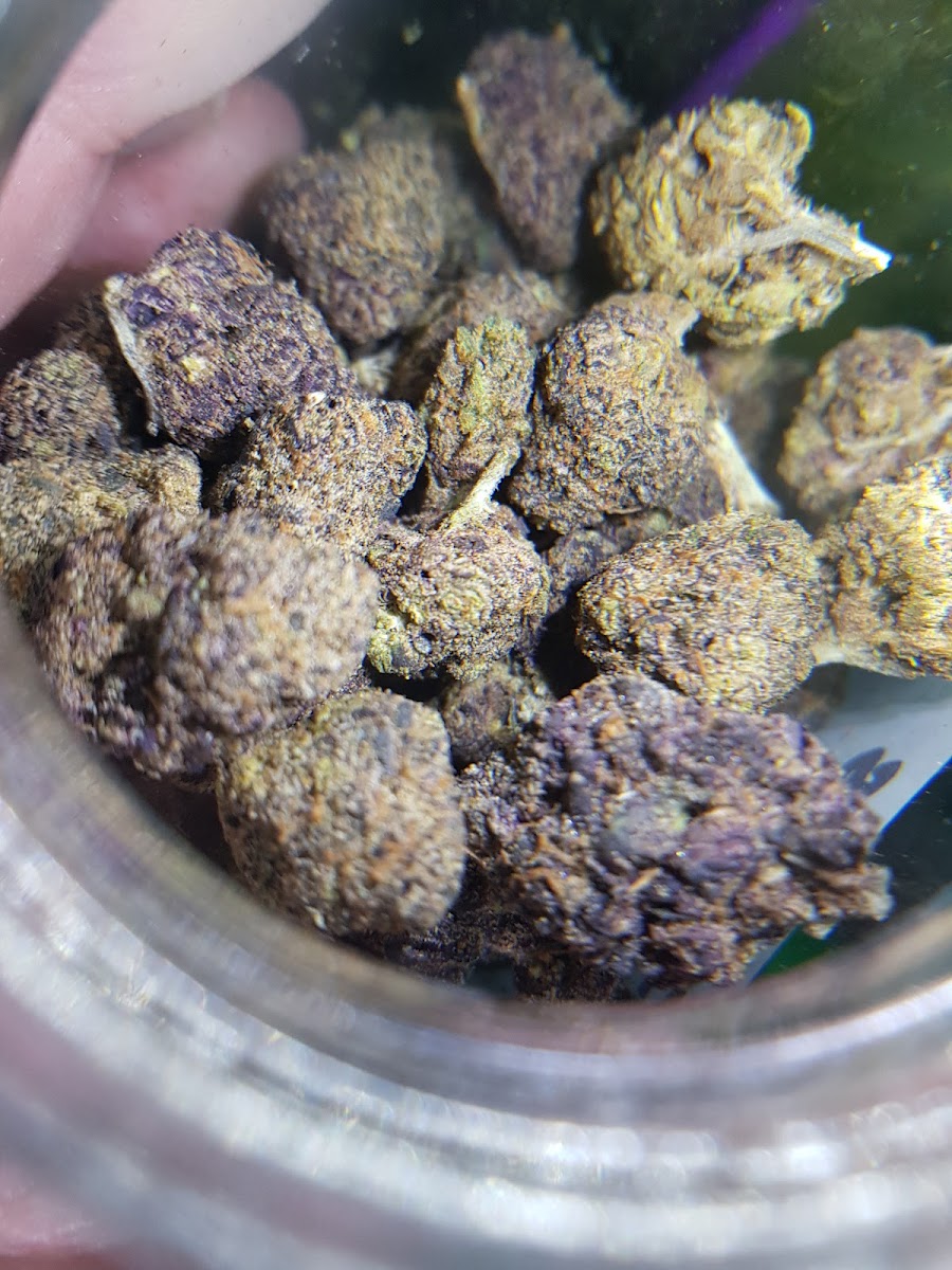 STARBUDS 420 Photo 5