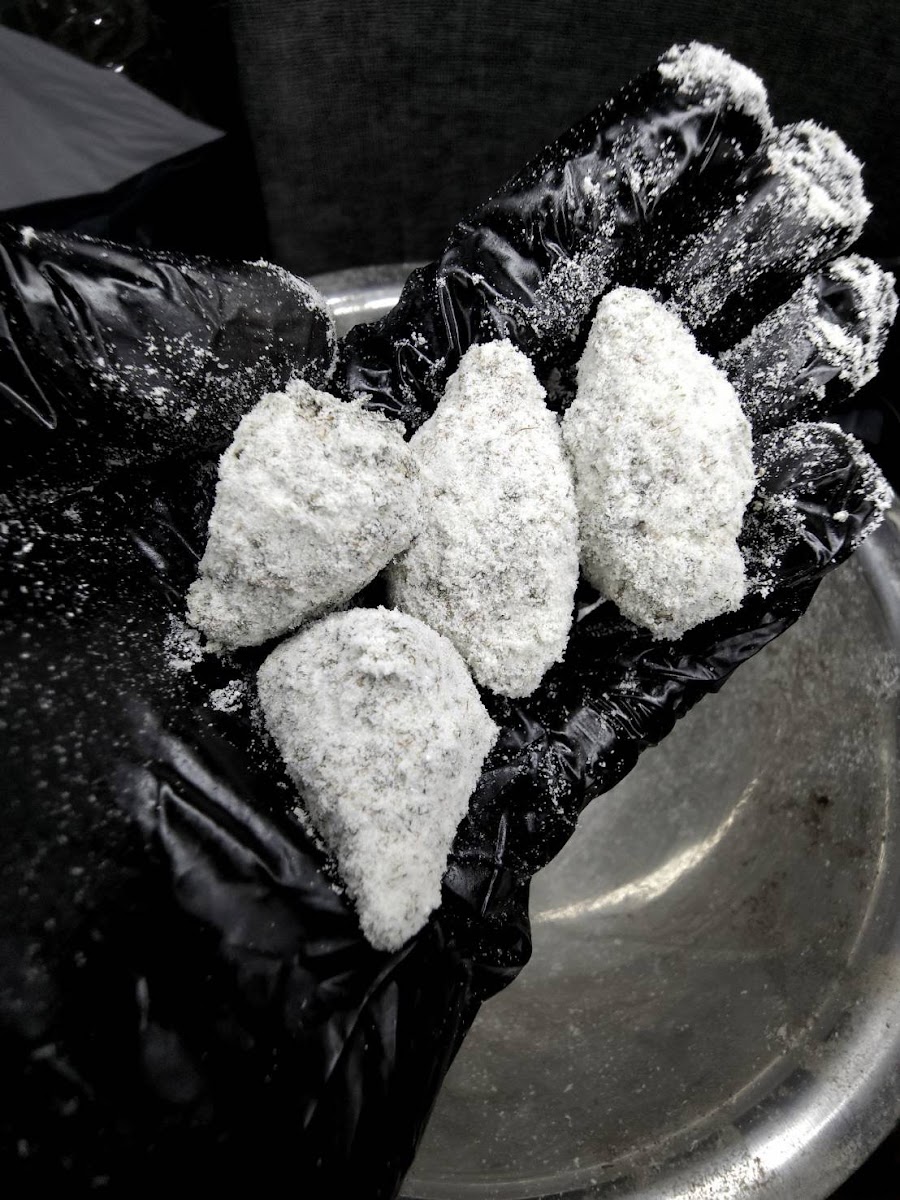 STARBUDS 420 Photo 7
