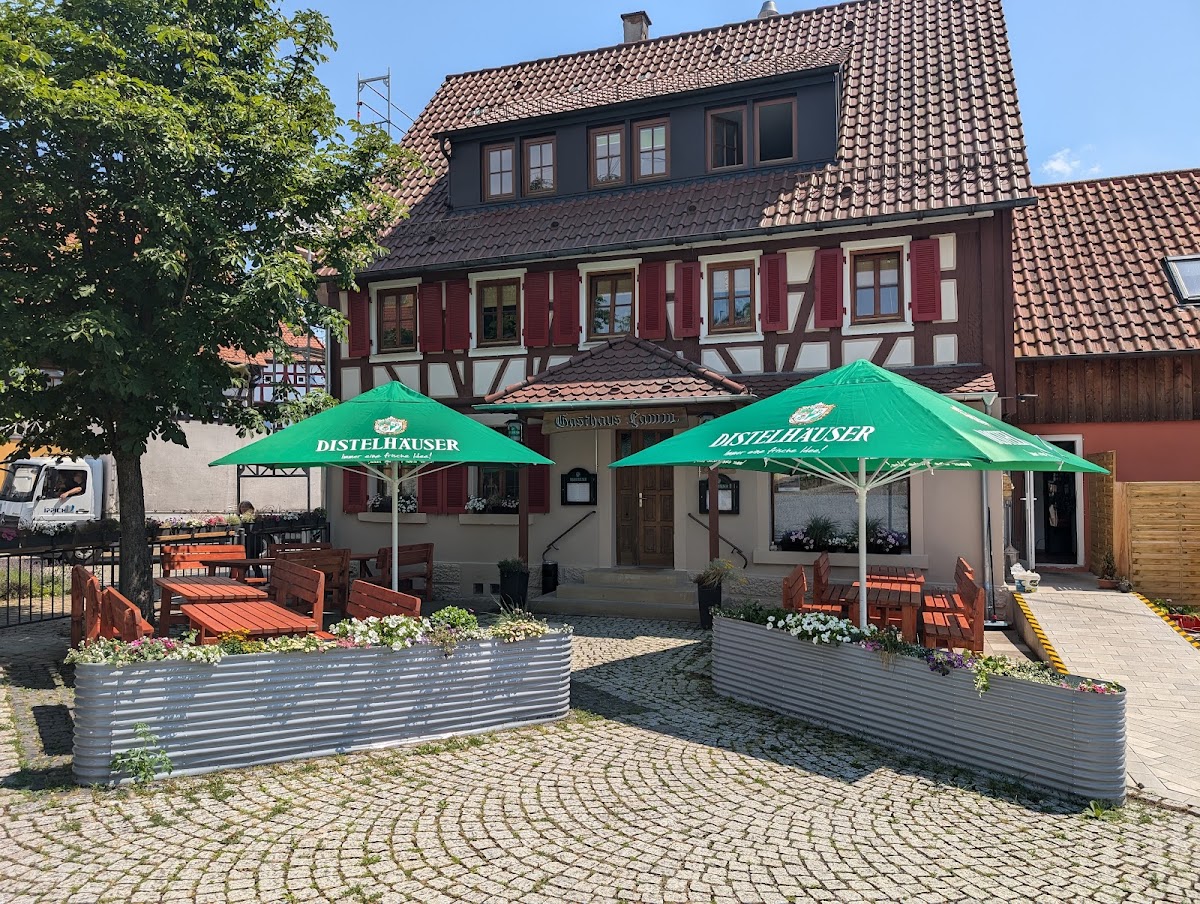 DerdingerLamm Photo 8