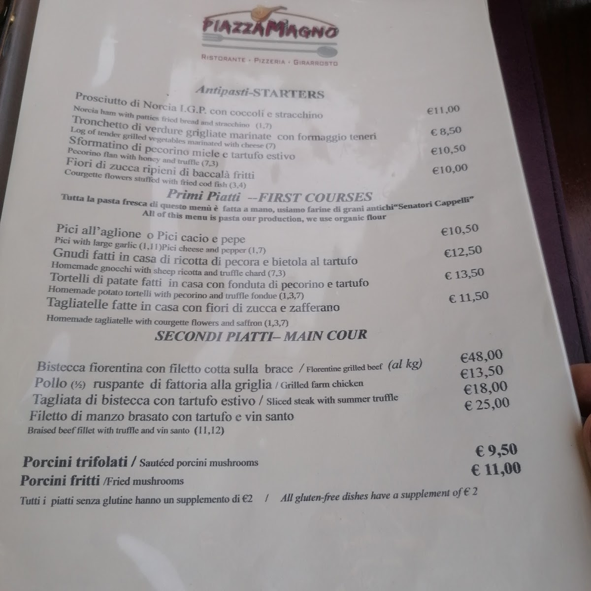 Ristorante Piazzamagno Pizzeria Photo Menu 1