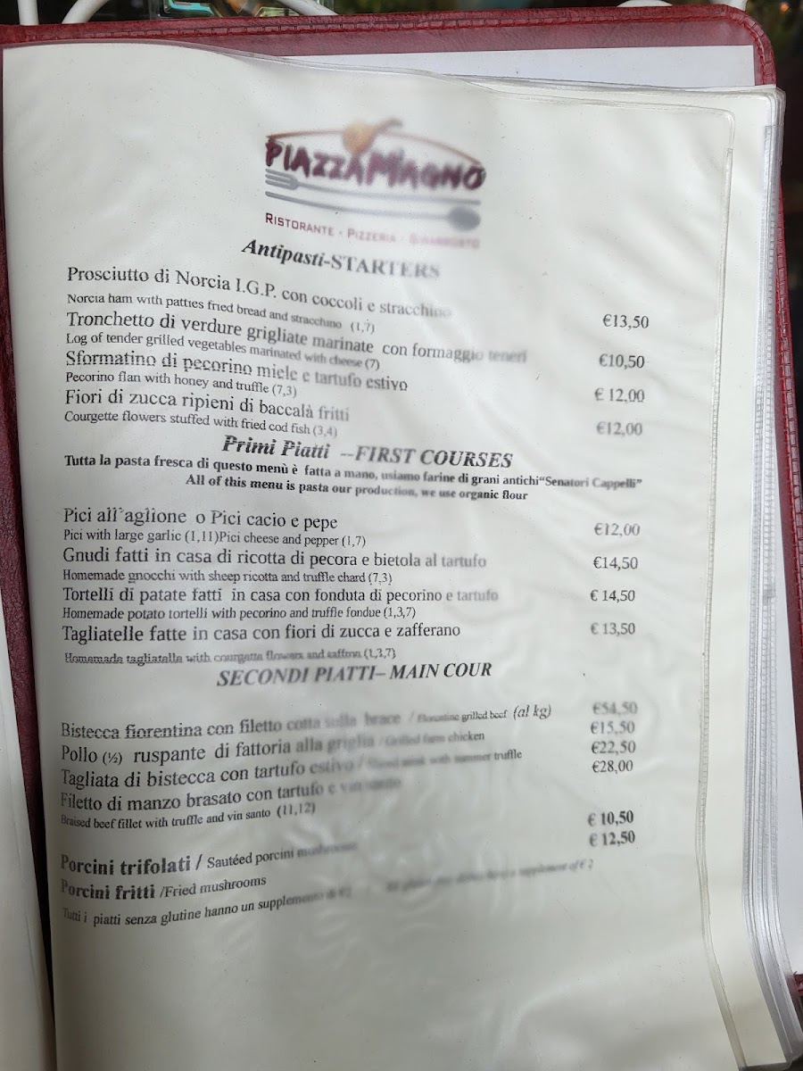 Ristorante Piazzamagno Pizzeria Photo Menu 2