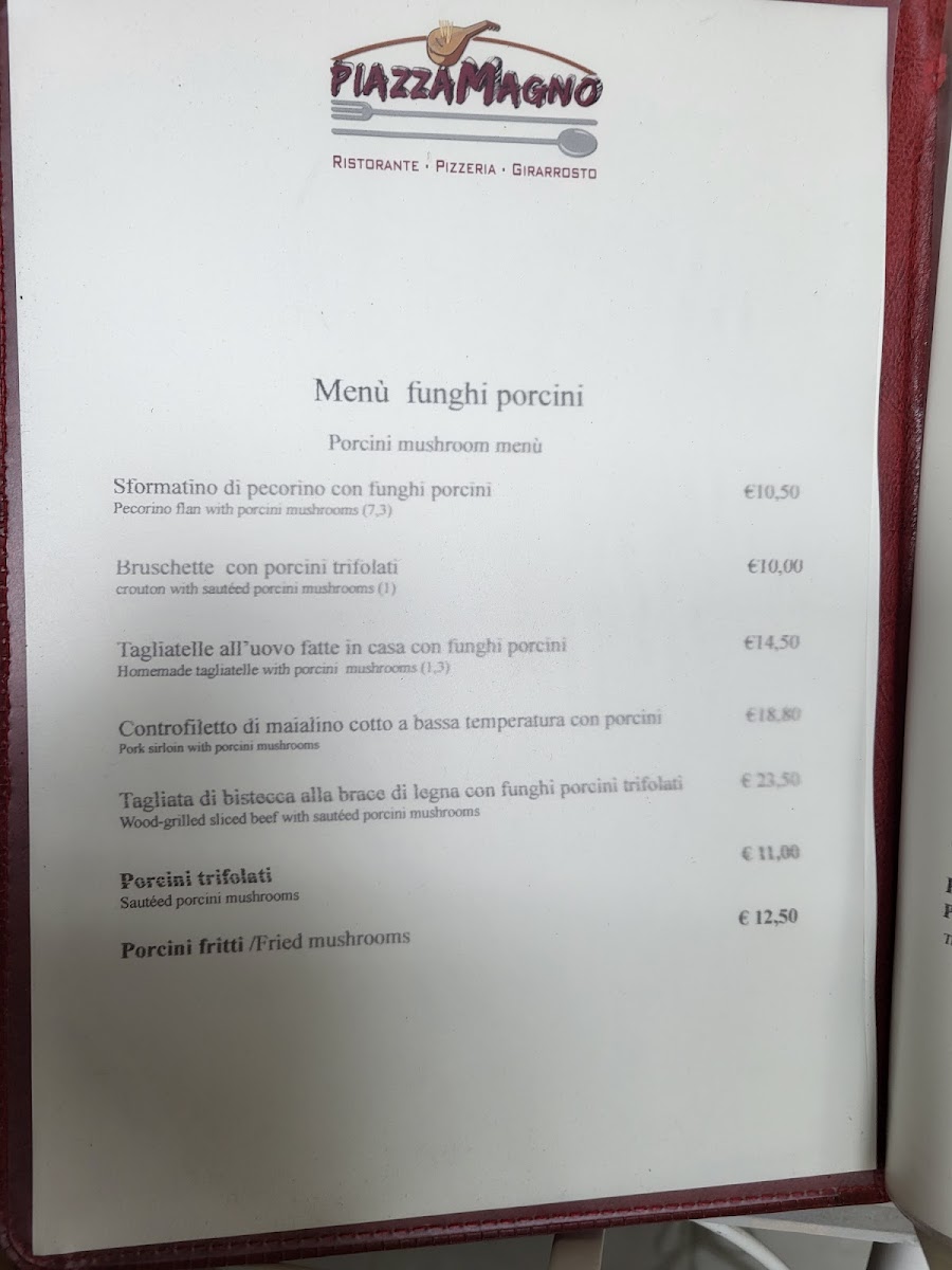 Ristorante Piazzamagno Pizzeria Photo Menu 4