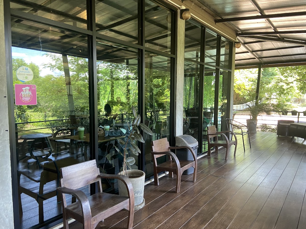 The Coffee Tree
