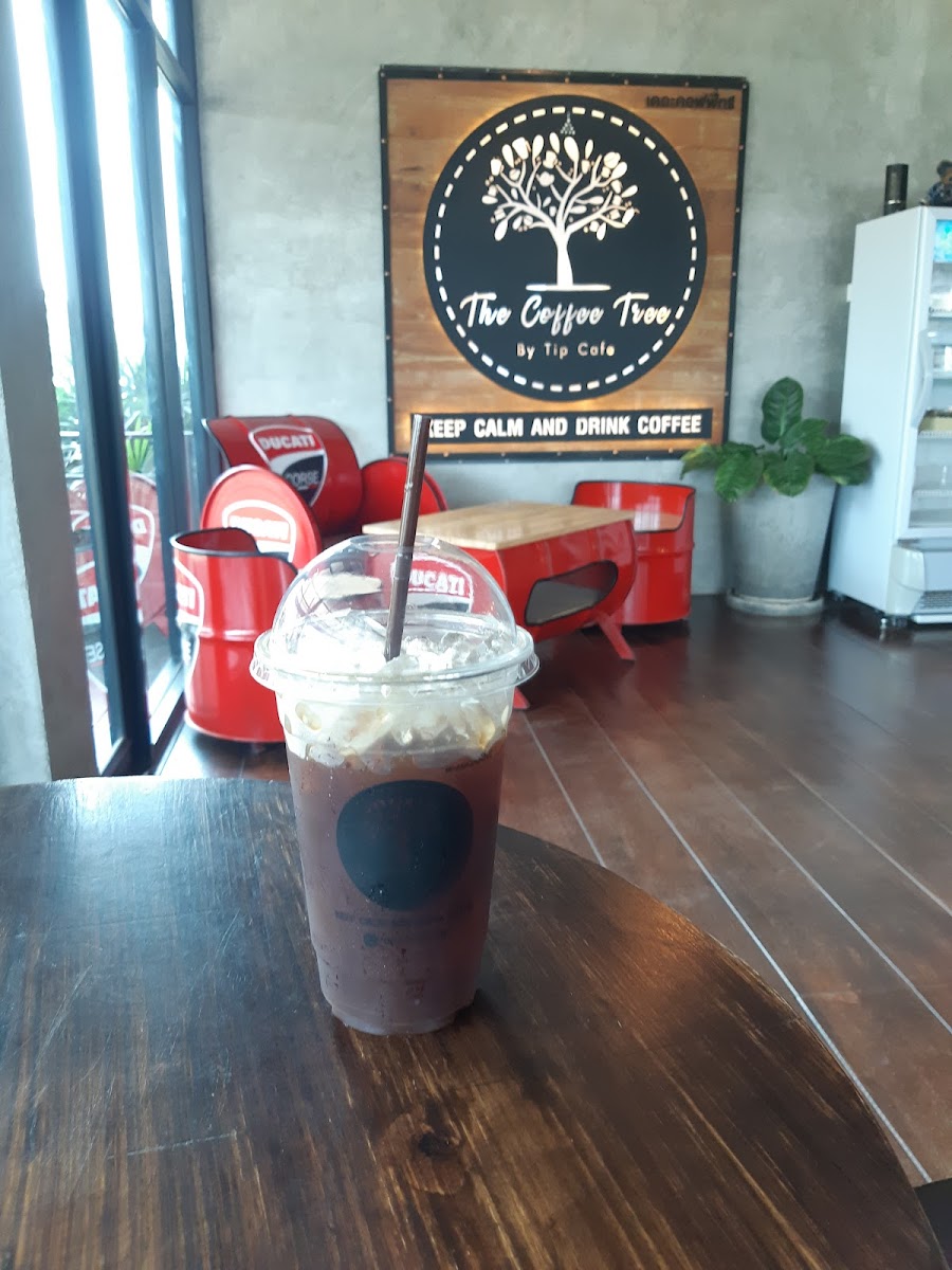 The Coffee Tree Photo 10