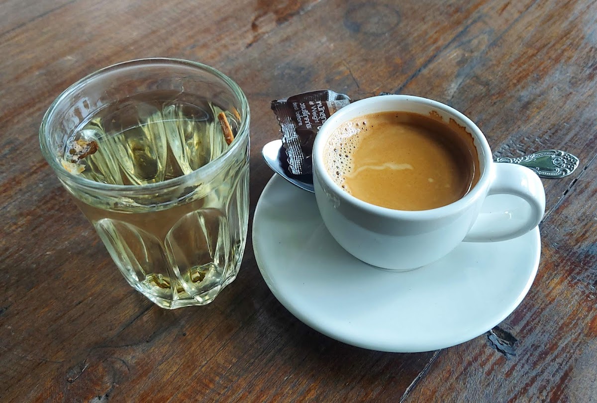 The Coffee Tree Photo 8