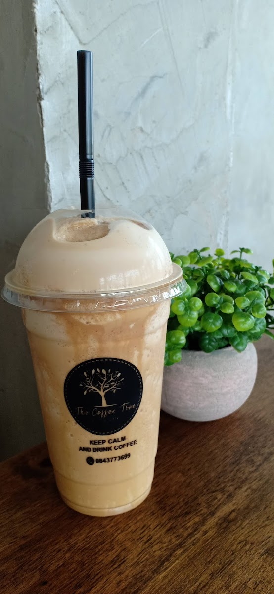 The Coffee Tree Photo 9