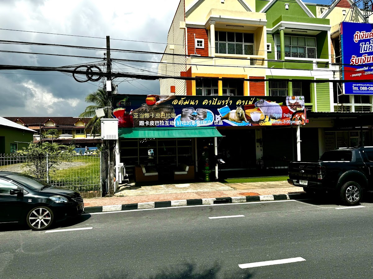 capybara cafe