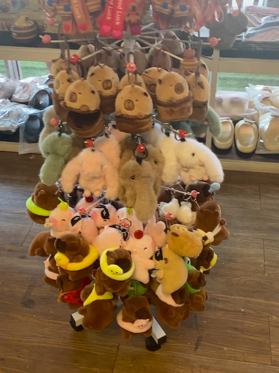 capybara cafe Photo 2
