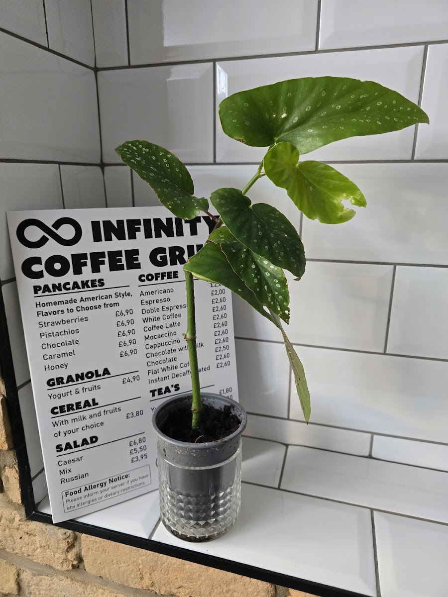 Infinity Coffee Grill Photo Menu 6