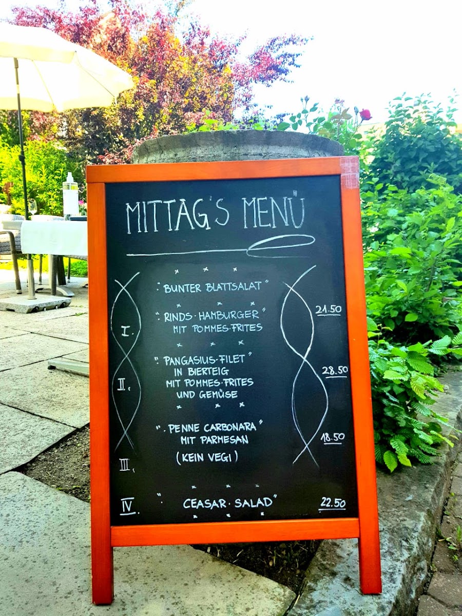 Restaurant Pizzeria Frohsinn Photo Menu 2