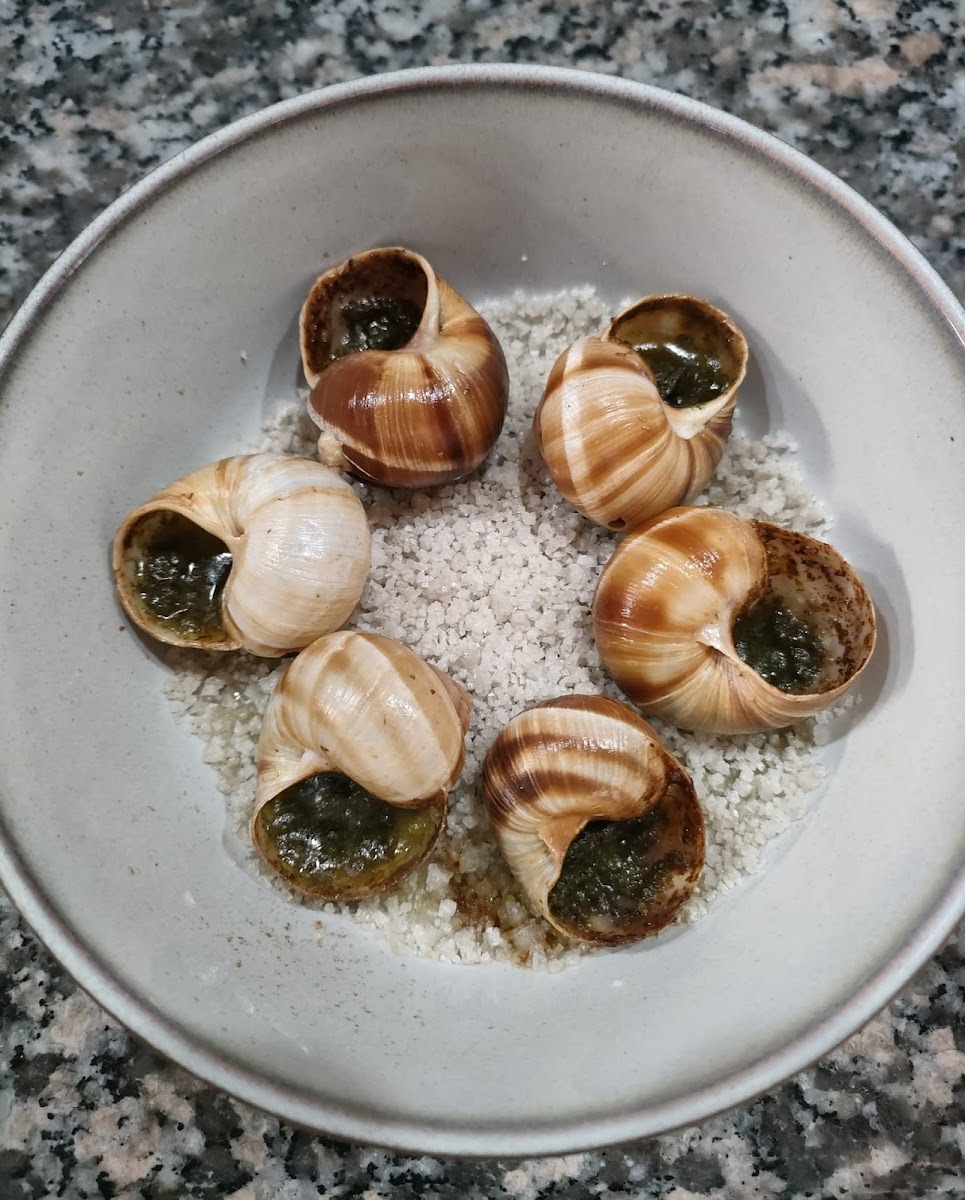 Le Bouillon - Brasserie des Eaux Vives Photo 6