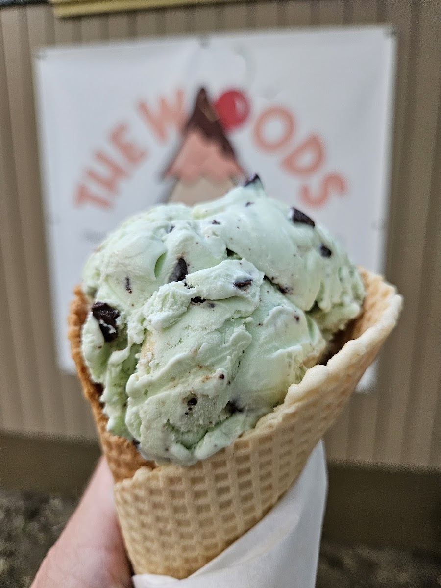 The Woods Ice Cream Shop Photo 7