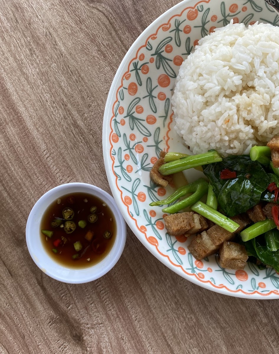 Green Dining Vegan and Vegetarian Photo 5