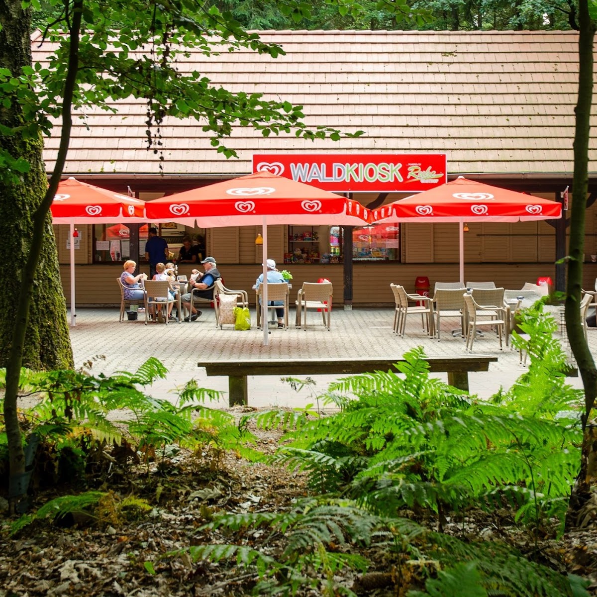 Waldkiosk im Erholungsgebiet Surwolds Wald
