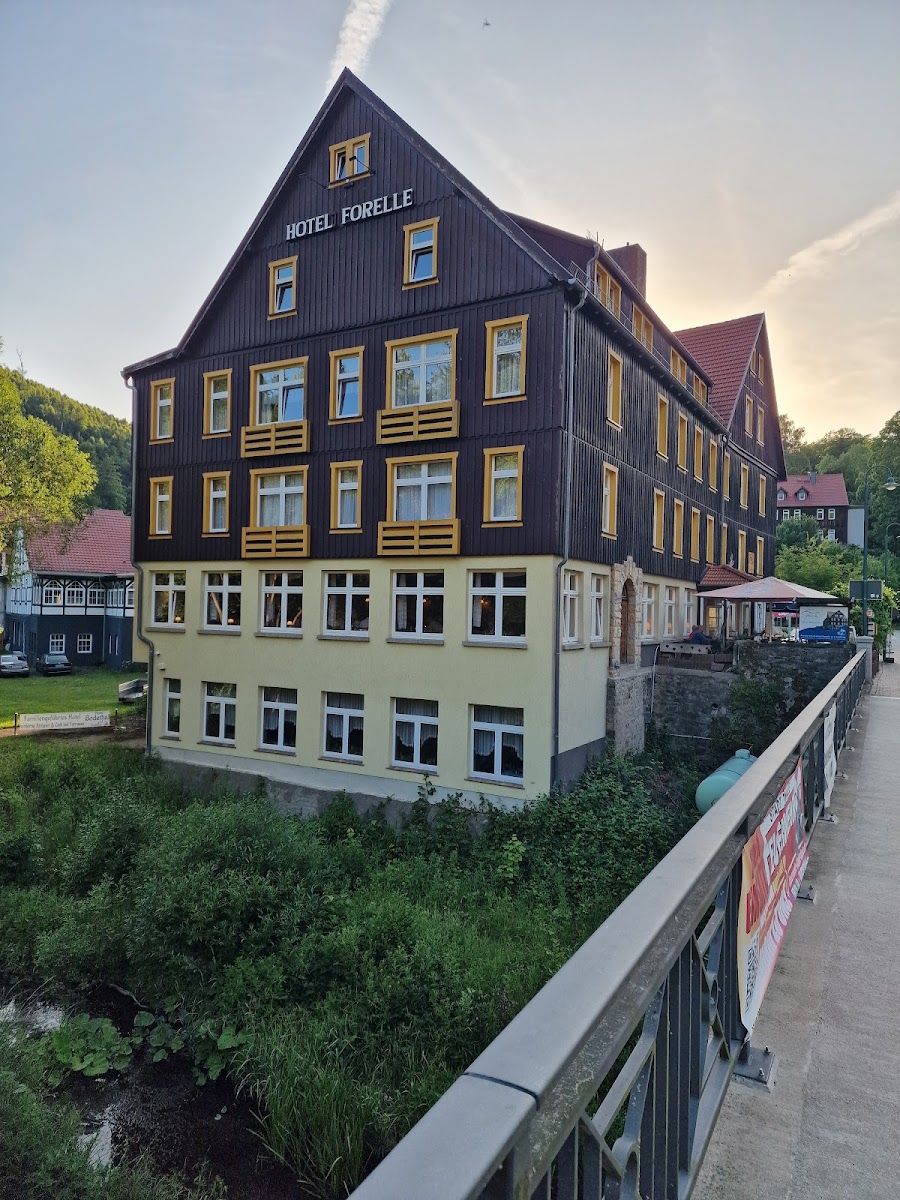 Restaurant Im Hotel Forelle Photo 3