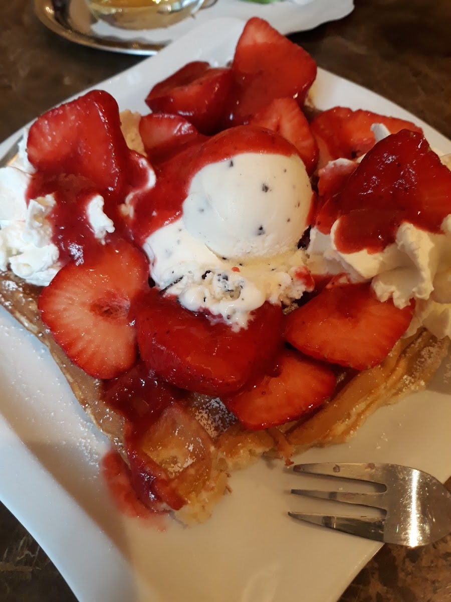 Eis-Oase Photo 6