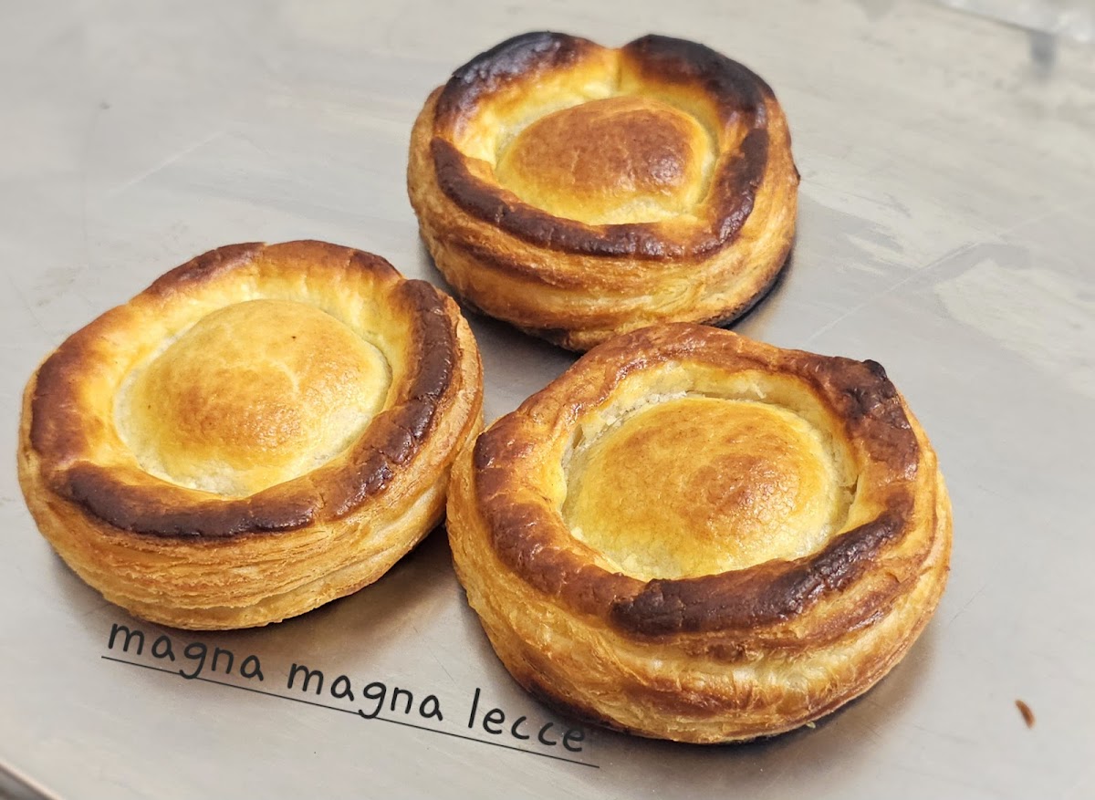 Magna Magna Photo 4