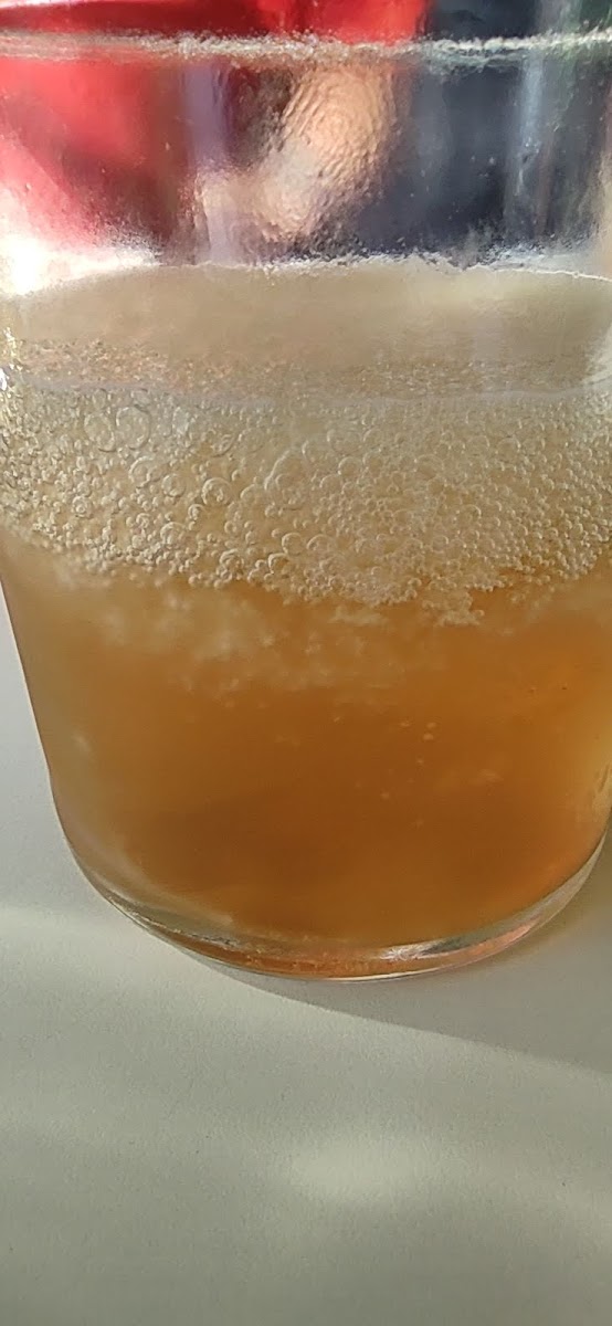 Cerveseria la Fragua SC Photo 8