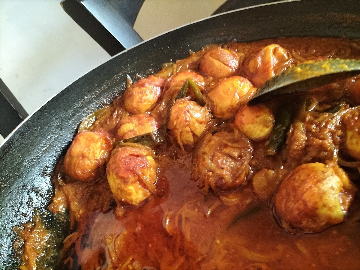 Hot & Spicy - Indian Food e Kebab Photo 9
