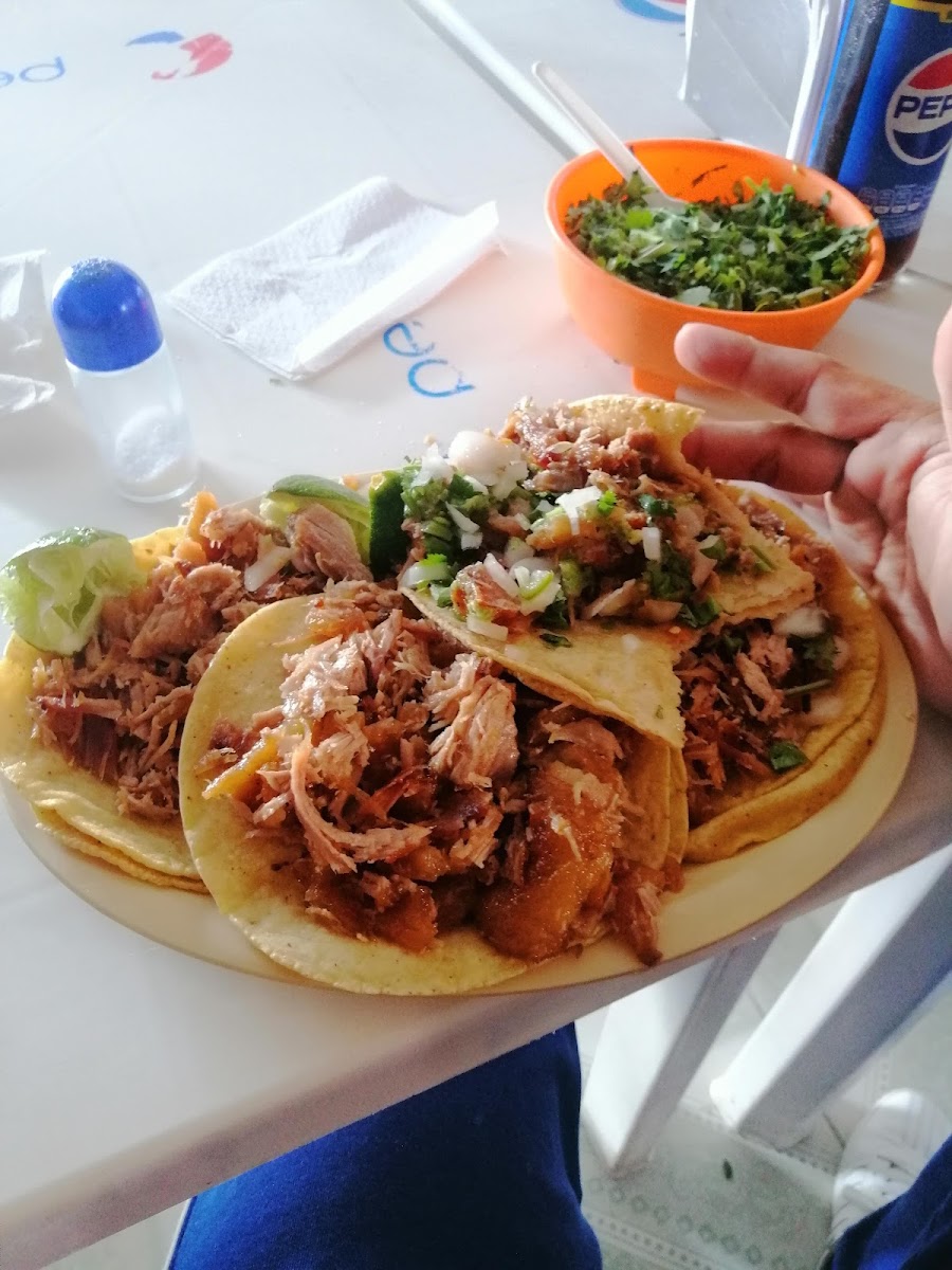 Carnitas Vilchis