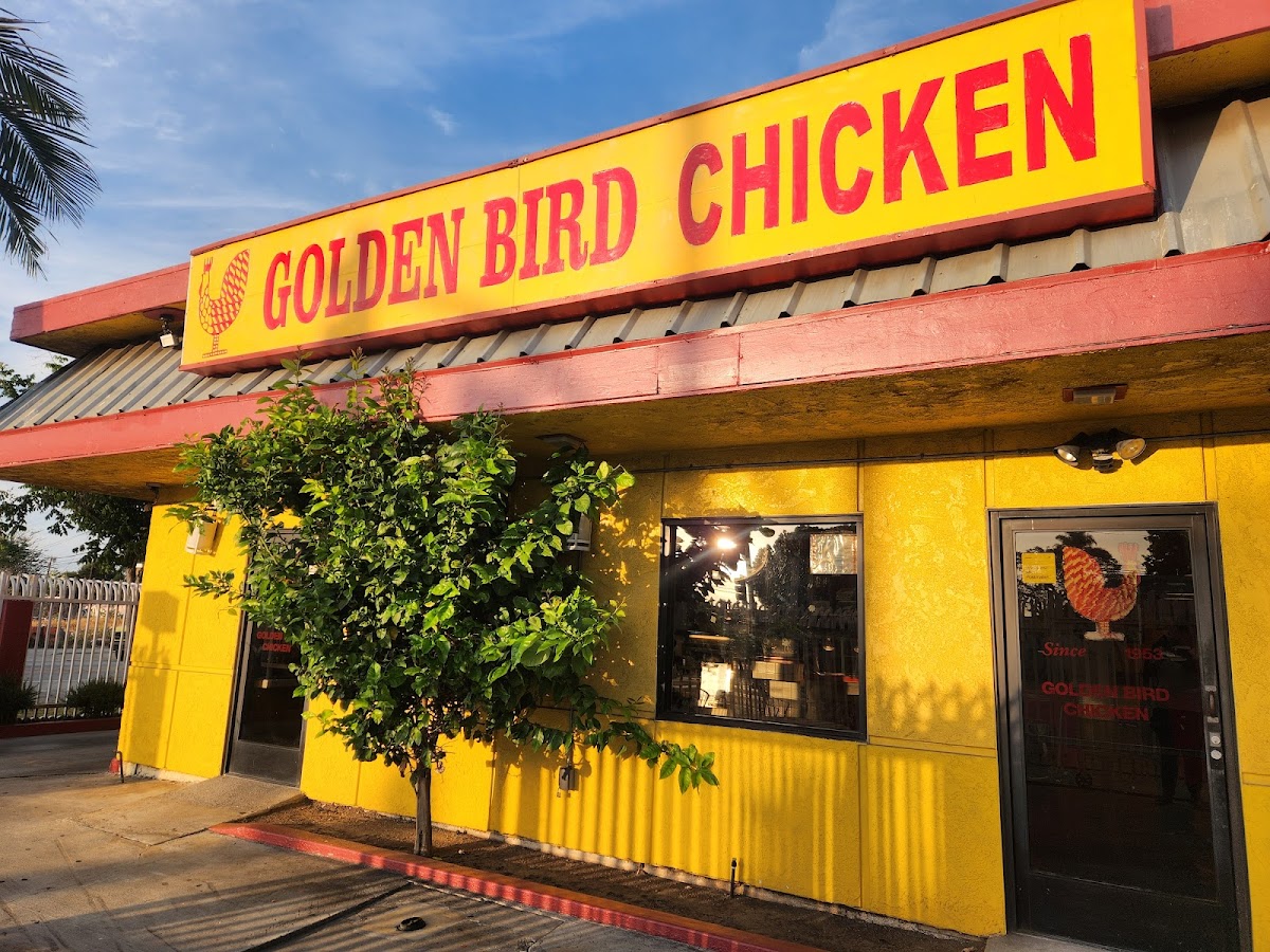 Golden Bird