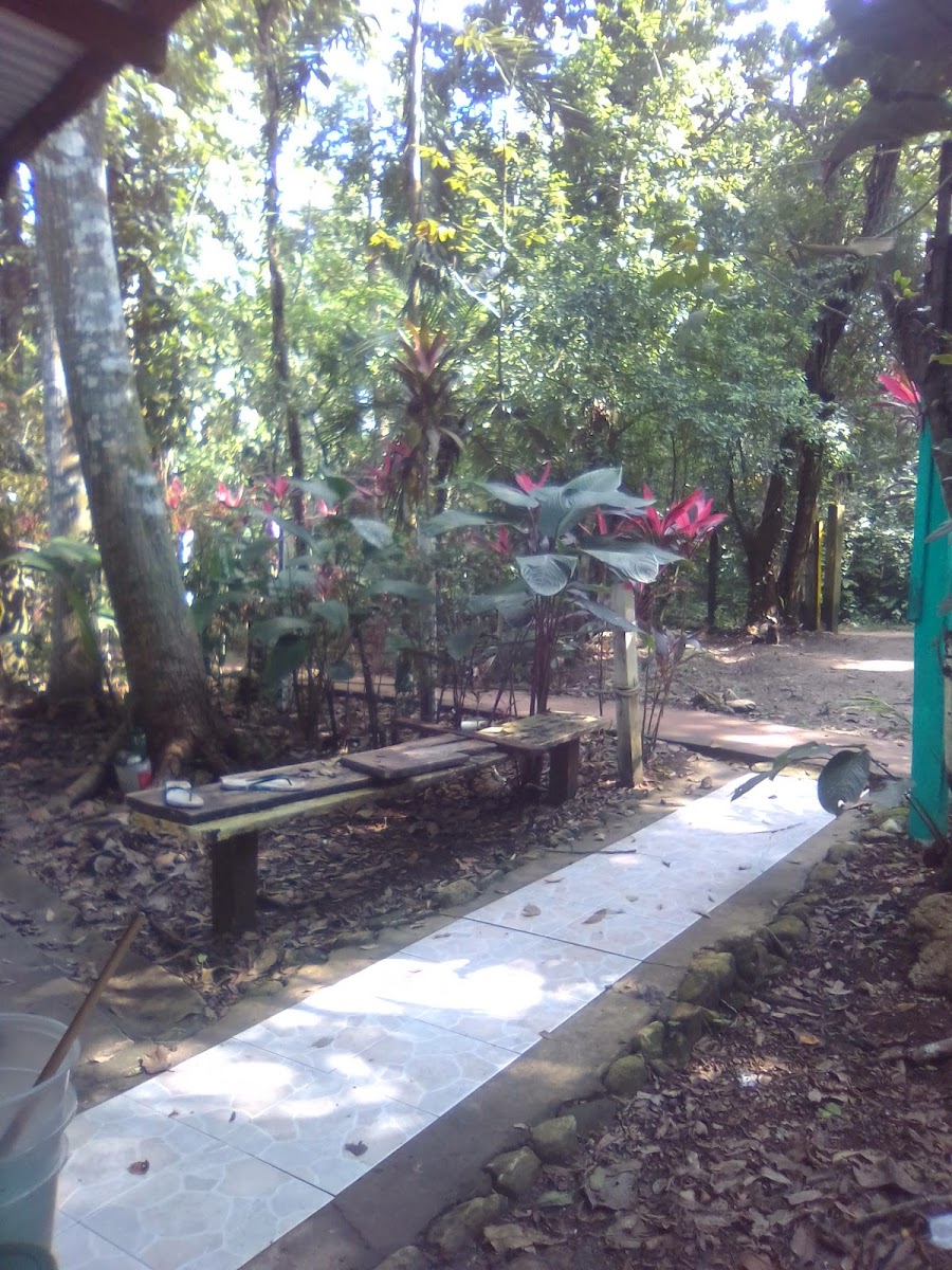 Felipa's Bar Photo 3