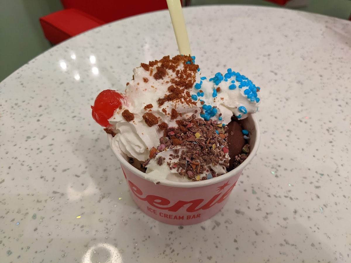 Reenie's Ice Cream Bar Photo 5