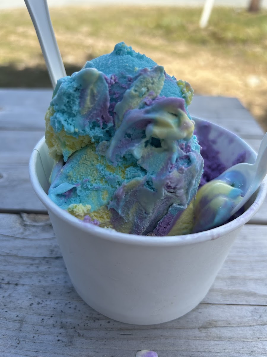 Ice cream shop Photo 4