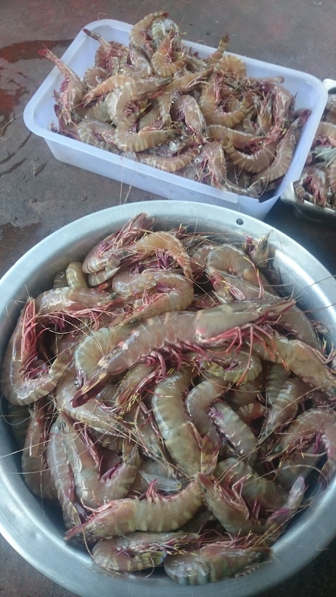 Lo Khung 3 Seafood Photo 6