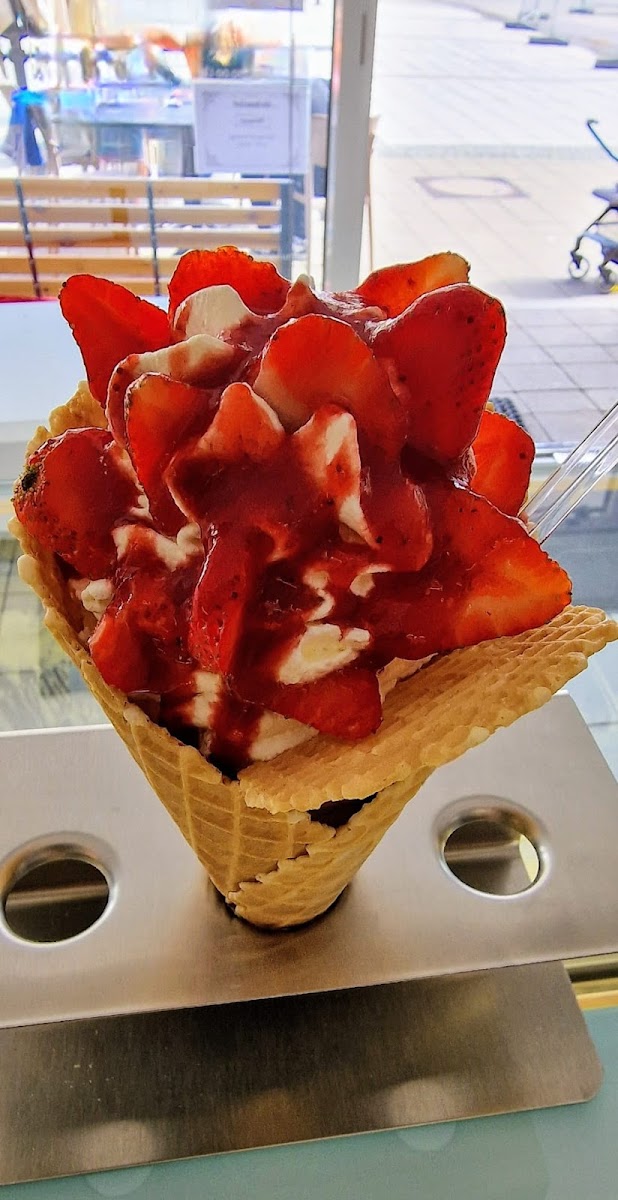 Oase Cult Gelato Photo 7