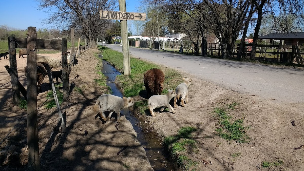 La Posta De Omar Parrilla Photo 2