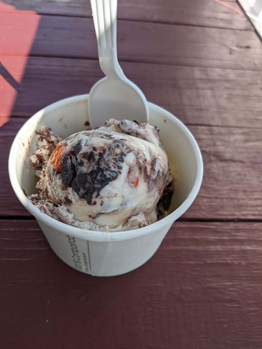 Gifford's HomeMaine Ice Cream Photo 5