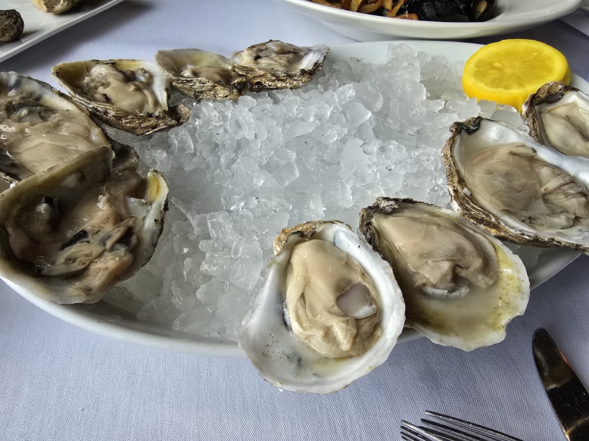 Newport Grill Photo 3