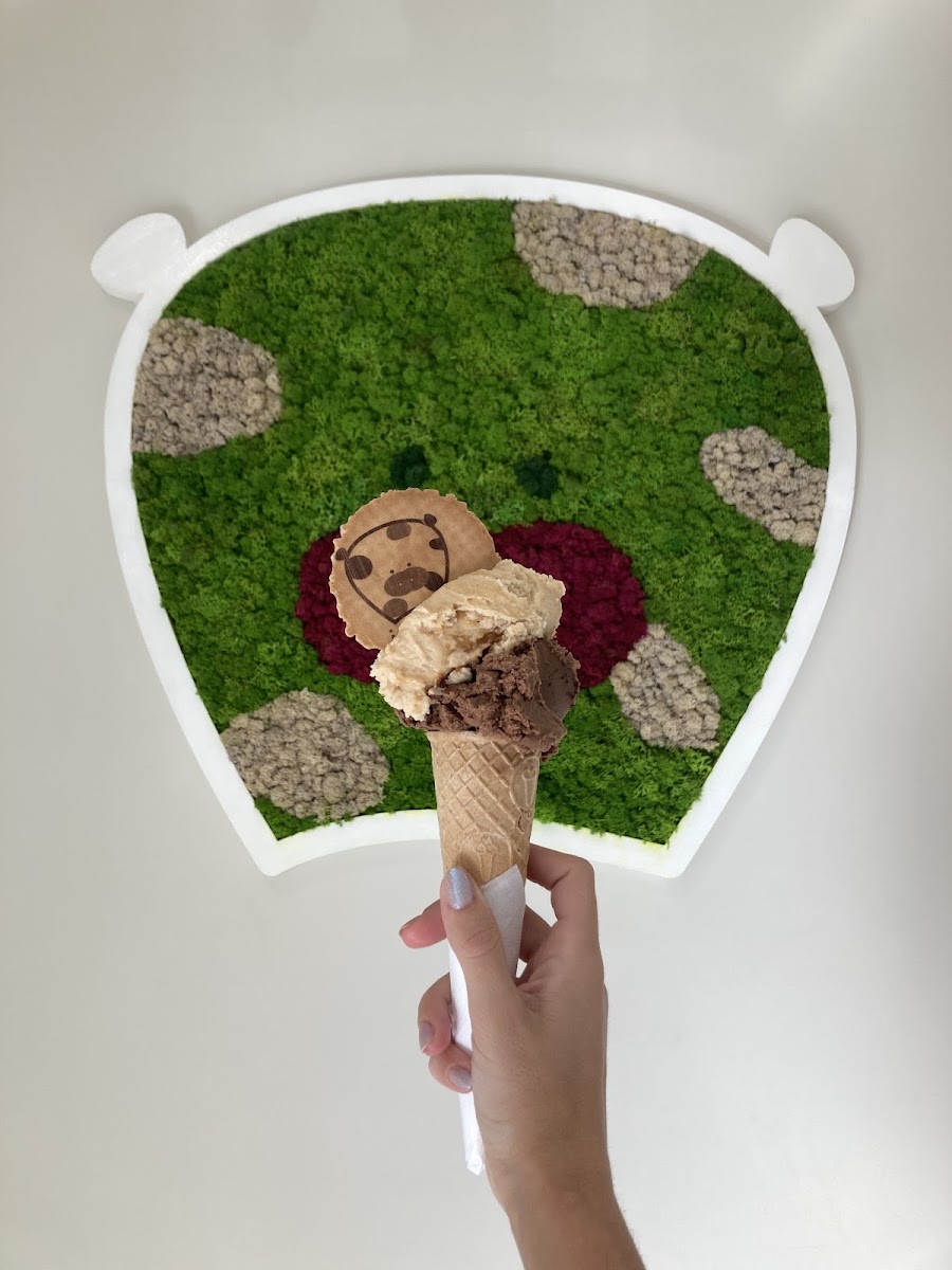 IceMu Gelateria Photo 4