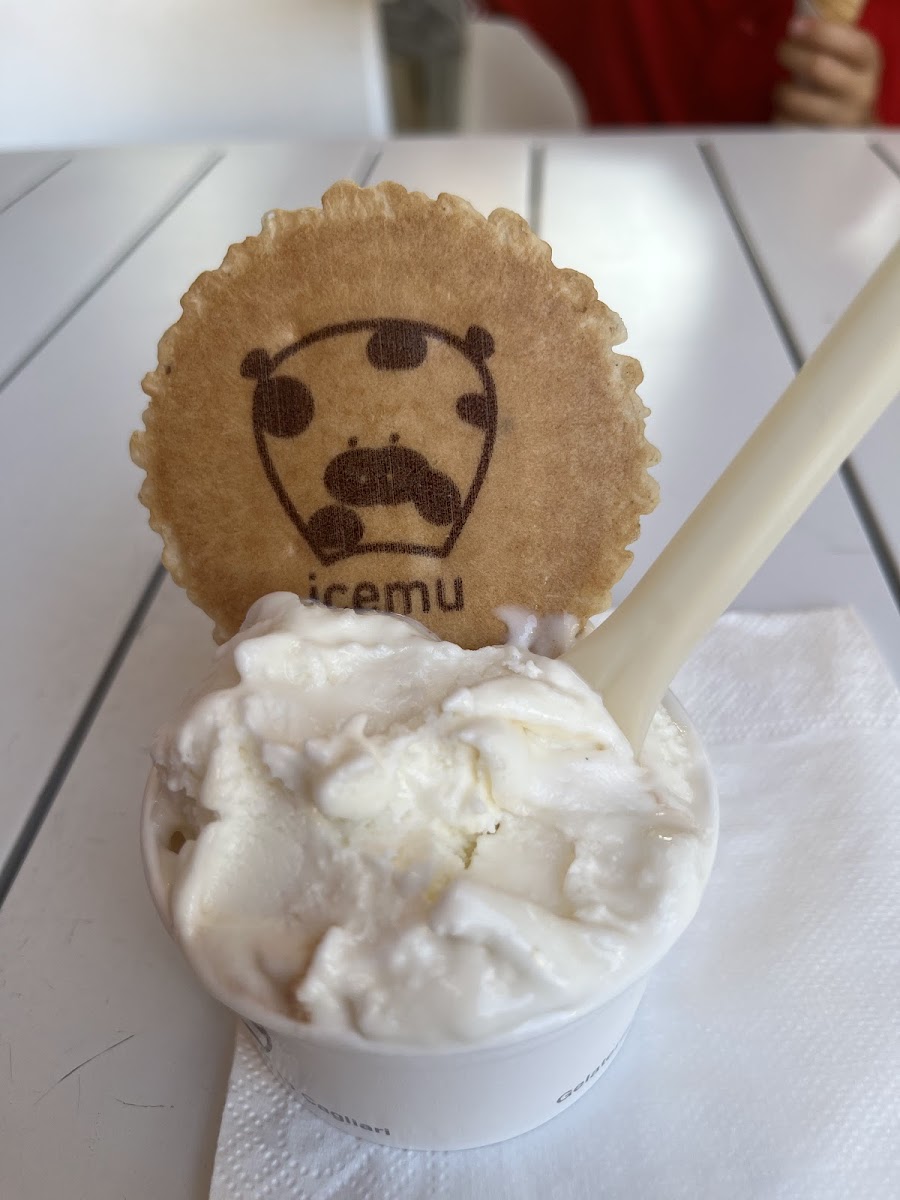IceMu Gelateria Photo 8