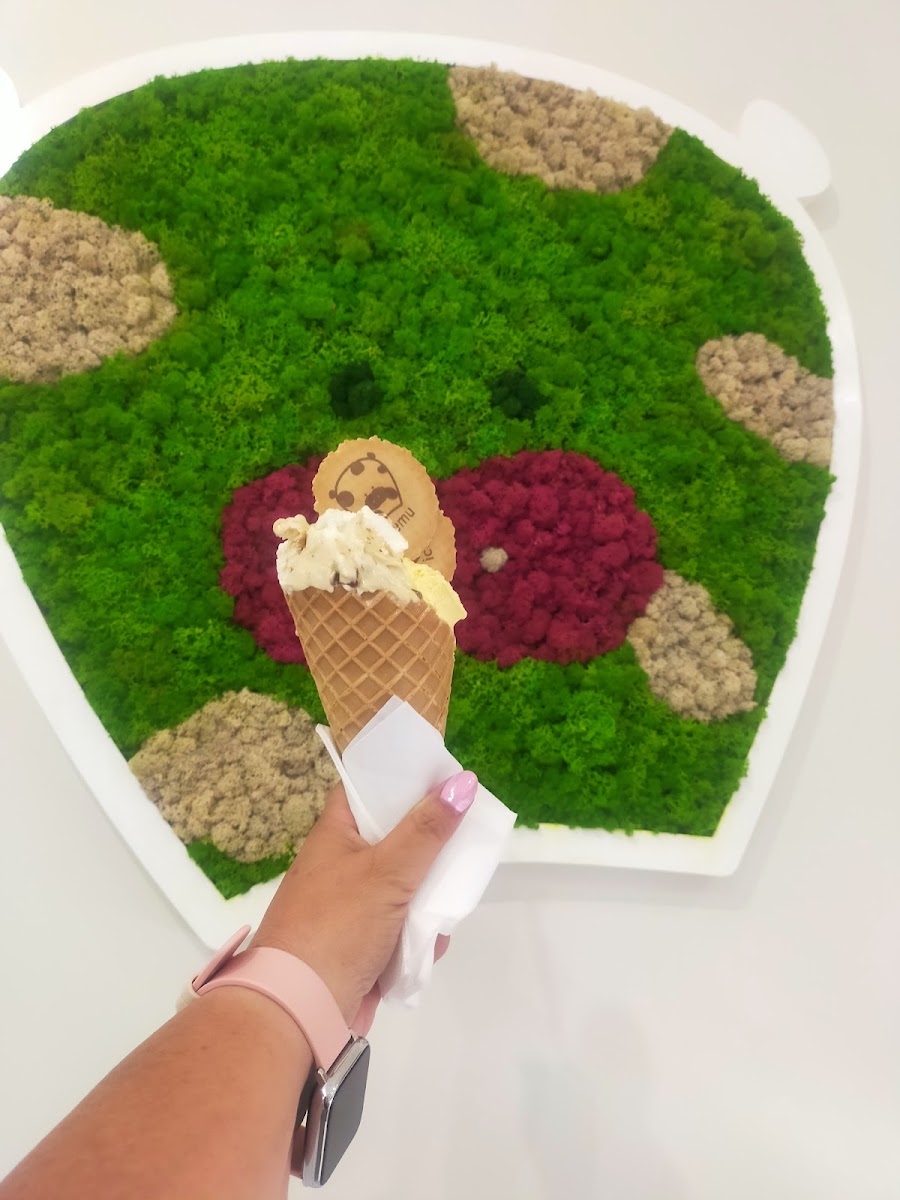 IceMu Gelateria Photo 9