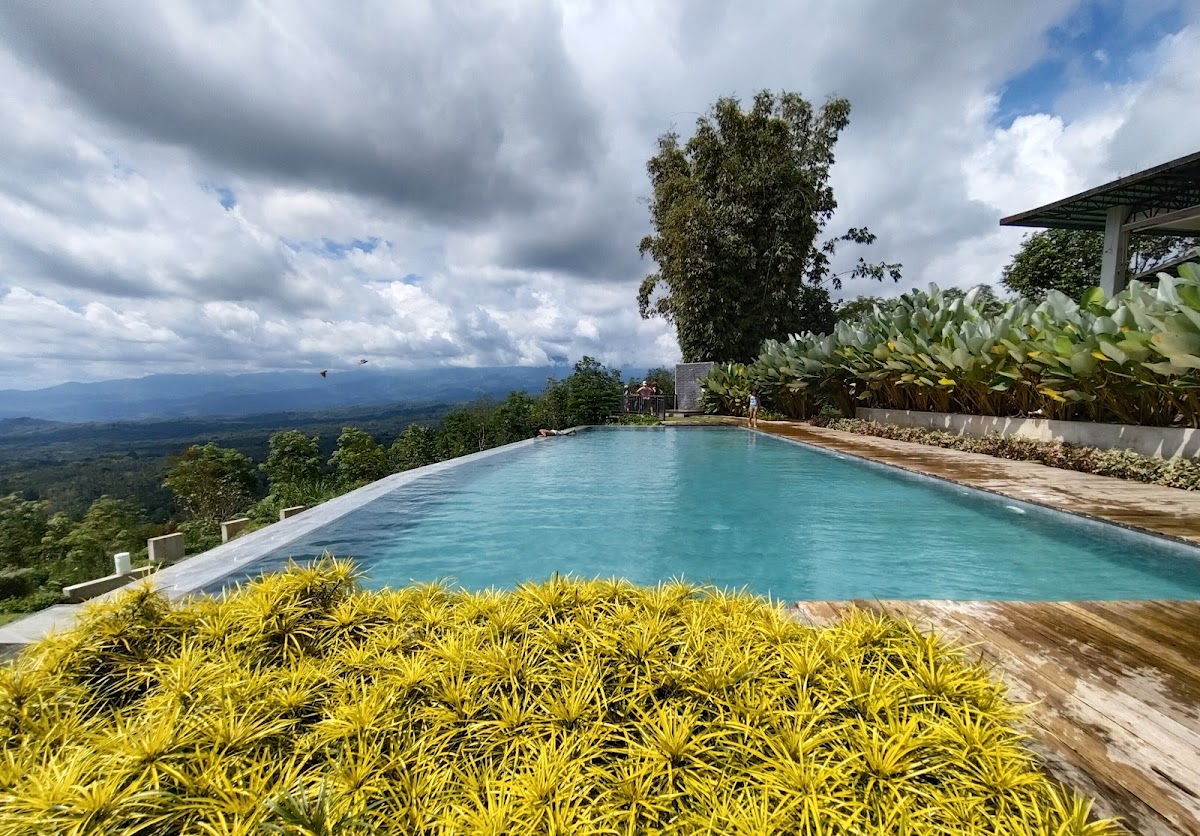 Alfonso's Ridge Photo 4