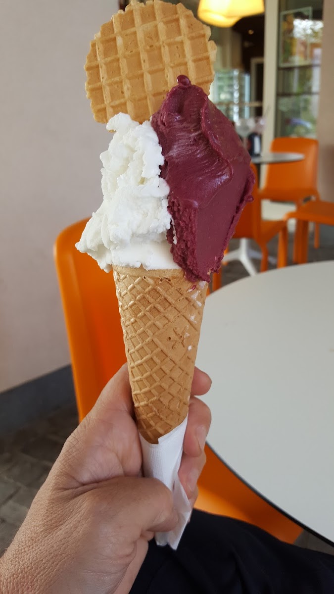 Gelateria Martinella Photo 7