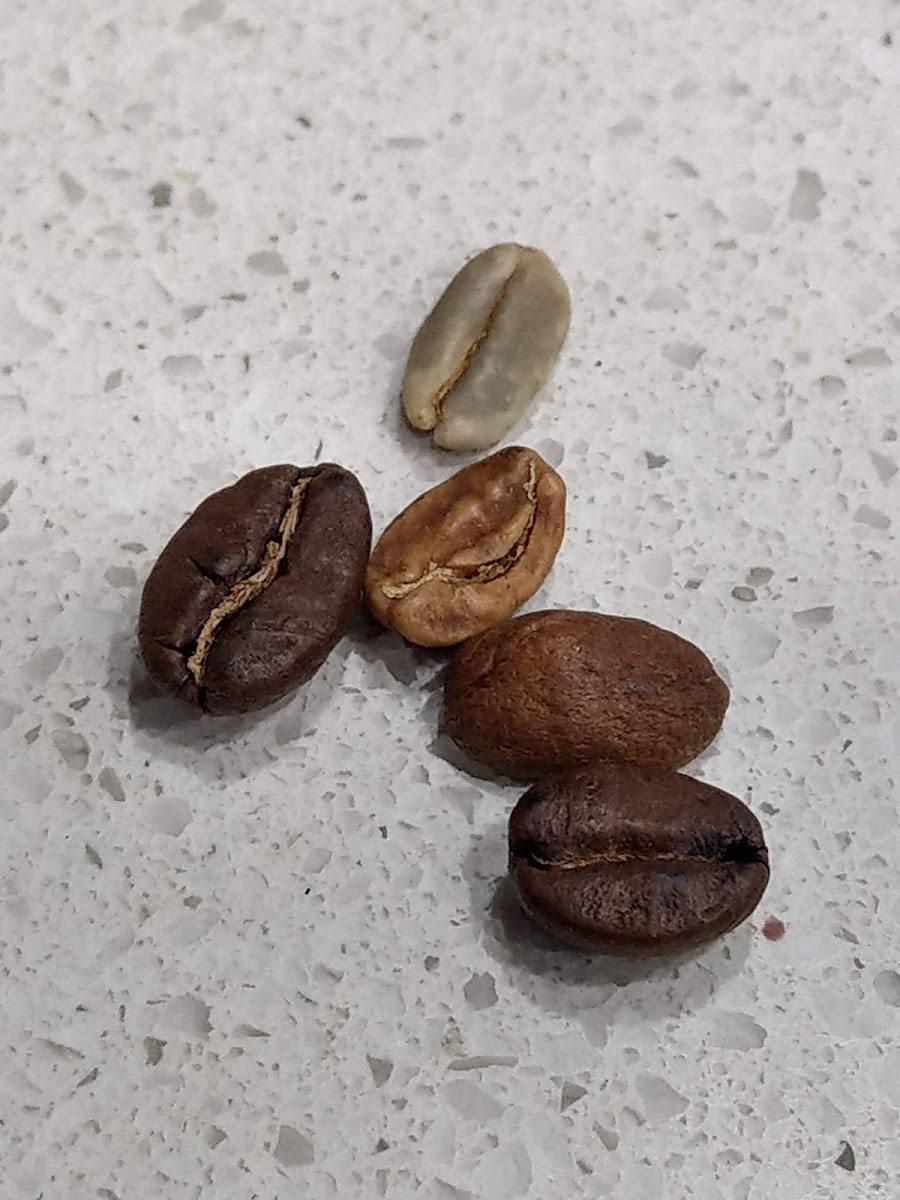 Espresso Takeaway Illawong Photo 9