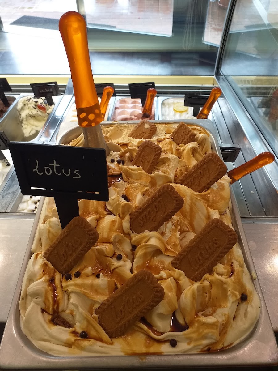Gelateria Biciok Photo 4
